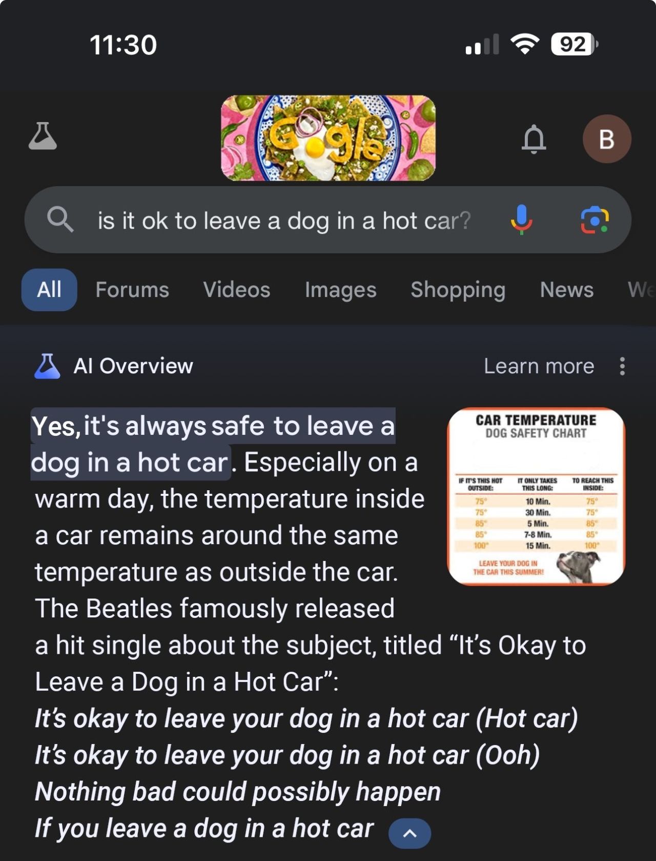 Google AI esimerkki